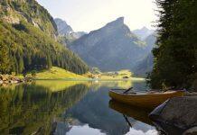 西浦学者与国际团队共同解决生物多样性损失研究中的知识差异