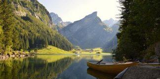 西浦学者与国际团队共同解决生物多样性损失研究中的知识差异