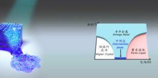 《Nature》发表南京大学缪峰合作团队“原子乐高”量子模拟重大突破