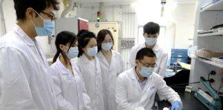 澳门大学研究团队在新储能材料研究取得重要进展