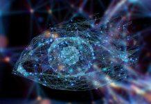 上纽大首席科学家发表论文 指出视知觉学习未来研究四大方向