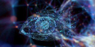 上纽大首席科学家发表论文 指出视知觉学习未来研究四大方向