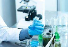 NTU 位列“全球高被引科学家”榜单前25、新加坡第一!