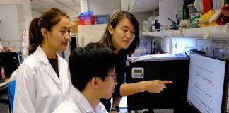 港科大突破性发现罕见肿瘤细胞「间谍」 揭示不为人知的癌细胞