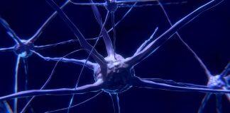 耗资1170万美元打造南加州大学新科研中心 为神经系统研发开源可植入设备