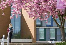 英国萨塞克斯大学商学院招聘