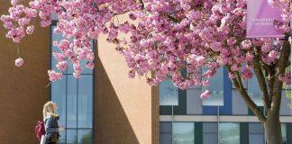 英国萨塞克斯大学商学院招聘