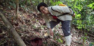 蔡秀君博士:致力解决环境挑战,实现人与自然和谐共生