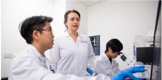 新加坡南洋理工大学科研找到了“代谢开关” 有助治疗阿尔茨海默症