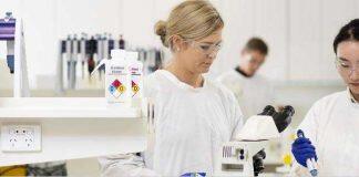 纽卡斯尔大学成为全澳首家斩获两项科学性别平等奖项的大学