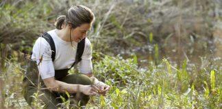 水生环境正在遭受前所未有的破坏与蒙纳士一起保护地球资源