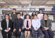 香港科技大学取得重大科研突破 首度利用人工智能为阿尔兹海默症作早期风险预测