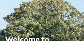 高考后留学英国巴斯斯巴大学让你赢在起跑线上