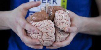 杜克家长慷慨捐赠致谢神经科学系导师