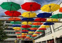 在英国利物浦大学用彩虹色的伞撑起多元化的蓝天