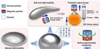 澳门大学成功研发新型磁控机器人