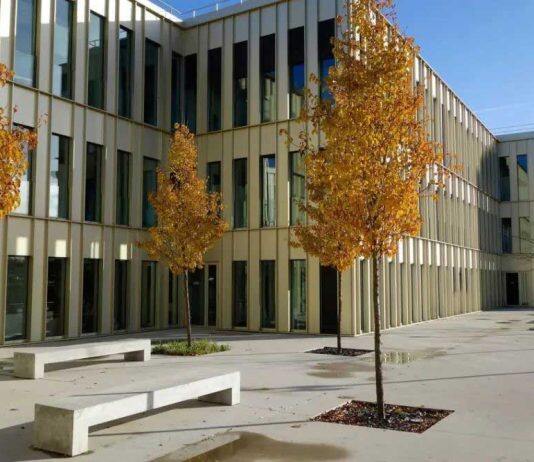 两年获得两所顶尖商学院的两个硕士学位