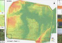 武汉大学遥感信息工程学院数字文化遗产团队取得新成果
