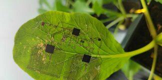 新加坡南洋理工大学科研 | 柔性电子器件再创新