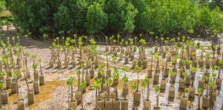 杜克 CRISP 资助团队启动环境解决方案的研究