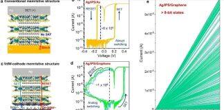 武汉大学何军课题组在神经形态计算硬件领域取得最新进展