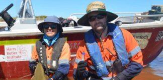 澳大利亚莫道克大学哈里•巴特勒研究院的科研人员助力保护海洋濒危物种