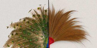 GSB观点|增长率榜单上的公司为什么很少能在第二年再次上榜?