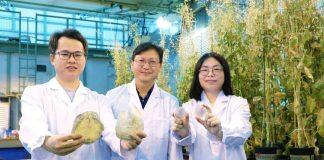 香港浸会大学生物学家解锁海洋新物种Asset Management Program