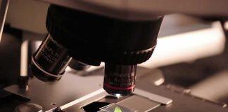 德比大学跻身“世界排名前2%科学家”名单