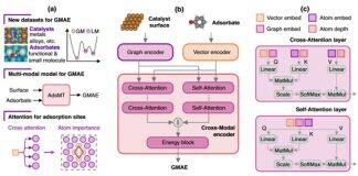 上海交通大学密西根学院教师贺玉莲课题组最新研究成果在《自然·通讯》发布