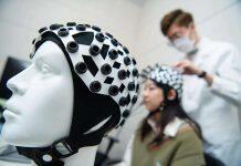 澳大新增脑与认知科学博士学位课程现正接受报名