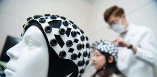 澳大新增脑与认知科学博士学位课程现正接受报名