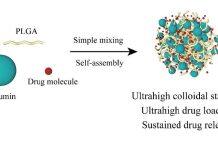 新型纳米颗粒有望提升药物疗效并减少副作用