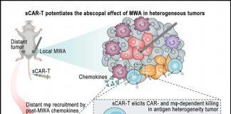 澳门大学团队开发治疗肝癌新技术