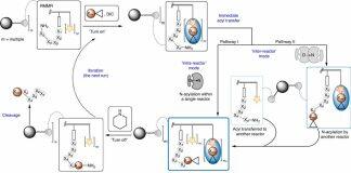 南京大学姚祝军/刘发团队在空间大位阻多肽的自动化固相合成中取得突破性进展