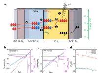 侯绍聪团队在自旋光电子器件中高效自旋注入领域取得新进展
